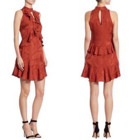 AFRM Rust Ruffle Silk Mini Dress - Picture 3 of 10